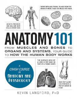 Anatomy 101_From Muscles and Bones to Organs and Systems, Your Guide to How the Human Body Works